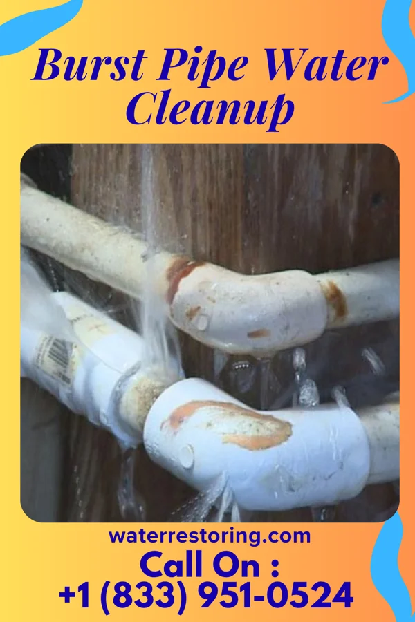 Burst Pipe Water Cleanup in Hawaiian Ocean View, HI