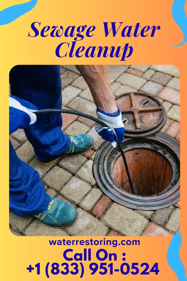 Sewage Water Cleanup in Hawaiian Ocean View, HI