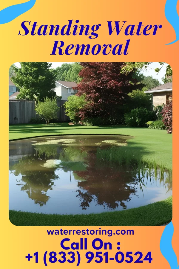 Standing Water Removal in Hawaiian Ocean View, HI